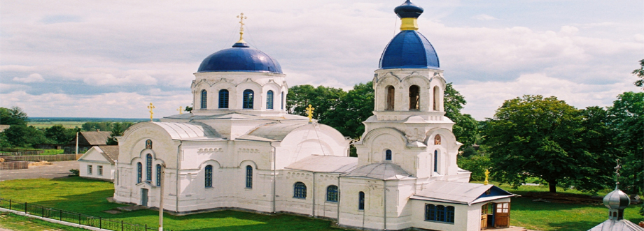 Petrikov